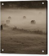 Rolling Field Of Hay Bales Acrylic Print