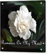Romance Rose Acrylic Print