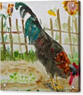 Rooster And Sunflowers Acrylic Print