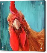 Rooster With Attitude Acrylic Print