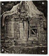 Roots In Ruins 5, Ta Prohm, 2014 Acrylic Print