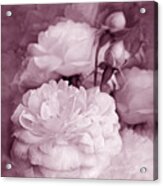 Rose Bouquet Flowers Plum Acrylic Print