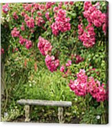Romantic Rose Garden Acrylic Print