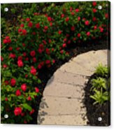 Rose Garden Path Acrylic Print