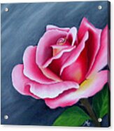 Rose In Elegance Acrylic Print