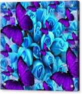 Roses And Purple Butterflies Acrylic Print