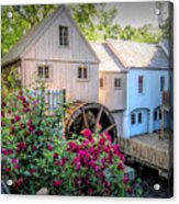 Roses At The Plimoth Grist Mill Acrylic Print