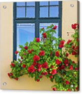 Roses Decorating A House Acrylic Print