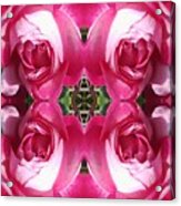Roses With Thorn Photo Fractal Acrylic Print