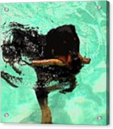 Rottweiler Dog Swimming Acrylic Print