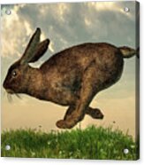 Running Rabbit Acrylic Print