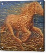 Running Swirly Horse Acrylic Print