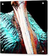 Rusty - Pelican Art Painting By Sharon Cummings Acrylic Print