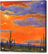 Saguaro Sunset Acrylic Print