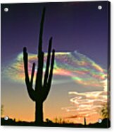 Saguaro With Missile Vapor Trails Acrylic Print