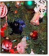 Salem In Christmas Tree Acrylic Print