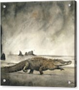 Saltwater Crocodile Acrylic Print