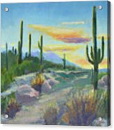 Salutation To The Tucson Sun Acrylic Print