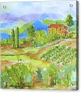 Vineyard At San Gimignano Acrylic Print