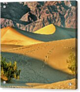 Sand Dunes - Death Valley Acrylic Print