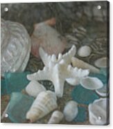 Sand, Shells, And Sea Glass 9870 Acrylic Print