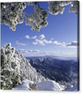 Sandia Mountain Wilderness- New Mexico Acrylic Print