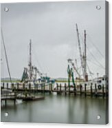 Sc Shrimping Acrylic Print