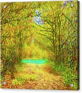 Scent Of Forest Path Acrylic Print