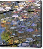 Scituate Autumn Abstract 2015 Acrylic Print