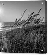 Sea Breeze Acrylic Print