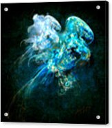 Sea Jellyfish Acrylic Print