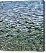 Sea Of Lines Acrylic Print