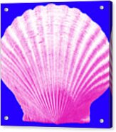 Sea Shell- Pink On Blue Acrylic Print