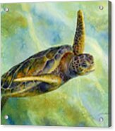 Sea Turtle 2 Acrylic Print