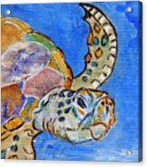 Sea Turtle Acrylic Print