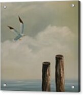 Seagull Landing Acrylic Print