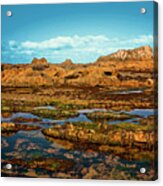 Seal Rock Beach Oregon Acrylic Print