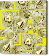 Seashells On Lemon Yellow Acrylic Print
