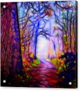 Secret Path In Magic Forest Acrylic Print