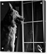 Selfportrait With Chuvak
#dog #animal Acrylic Print