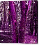 Serene In Purple Acrylic Print