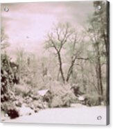 Serene In Snow Acrylic Print