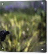 Serenity In The Marshes Acrylic Print