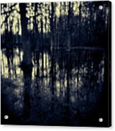 Series Wood And Water 4 Acrylic Print