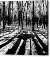 Shadows On The Snowy Landscape Acrylic Print
