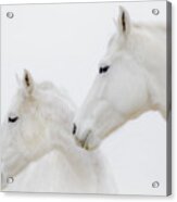 She Dreamed Of White Horses Acrylic Print