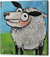 Sheep Acrylic Print