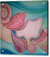 Shellscape Acrylic Print