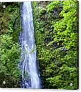 Shot Gun Falls Acrylic Print