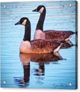 Side By Side Acrylic Print